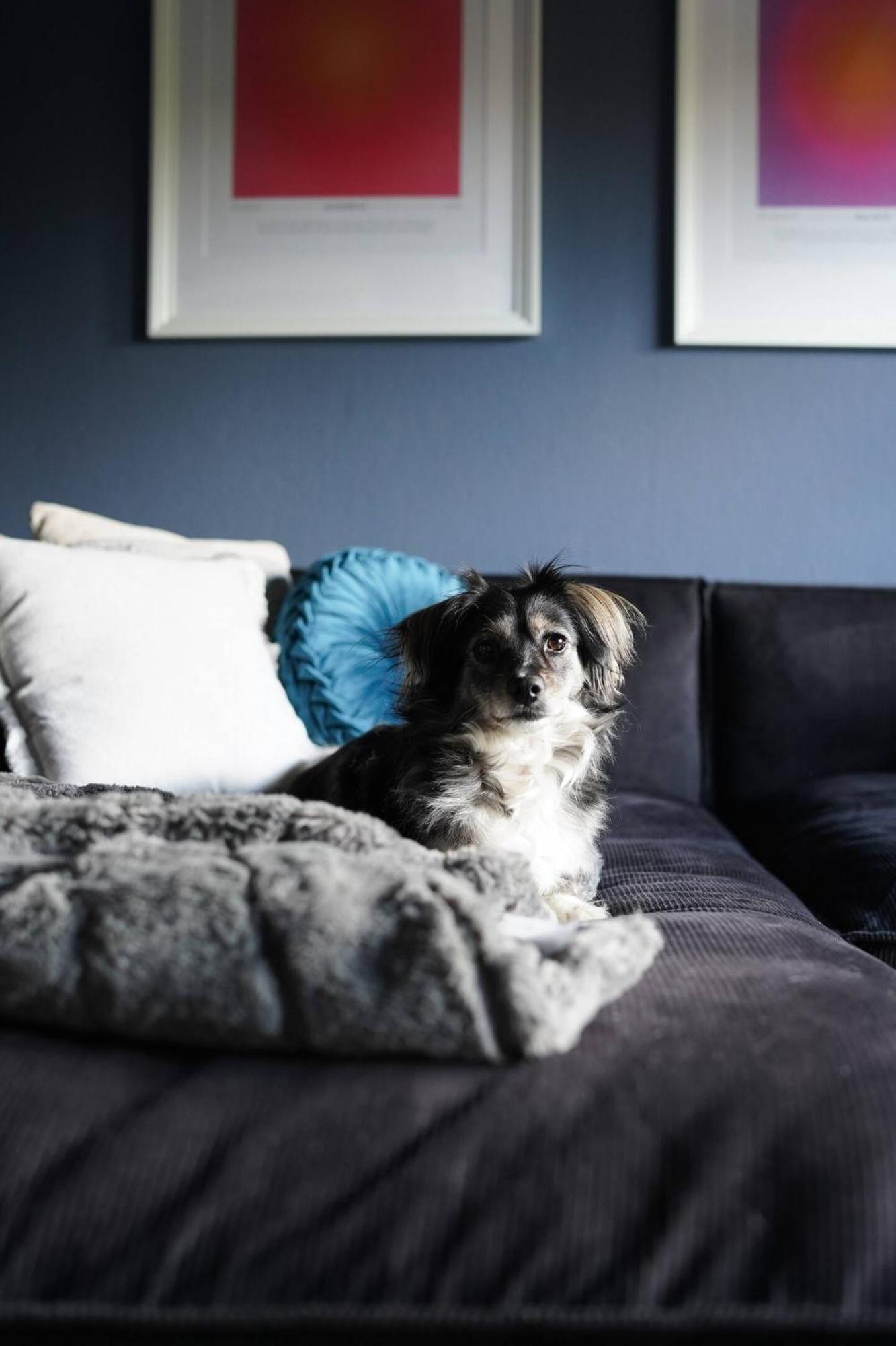 Stylische Wohnung In Meeresnaehe Wilhelmshaven Dış mekan fotoğraf